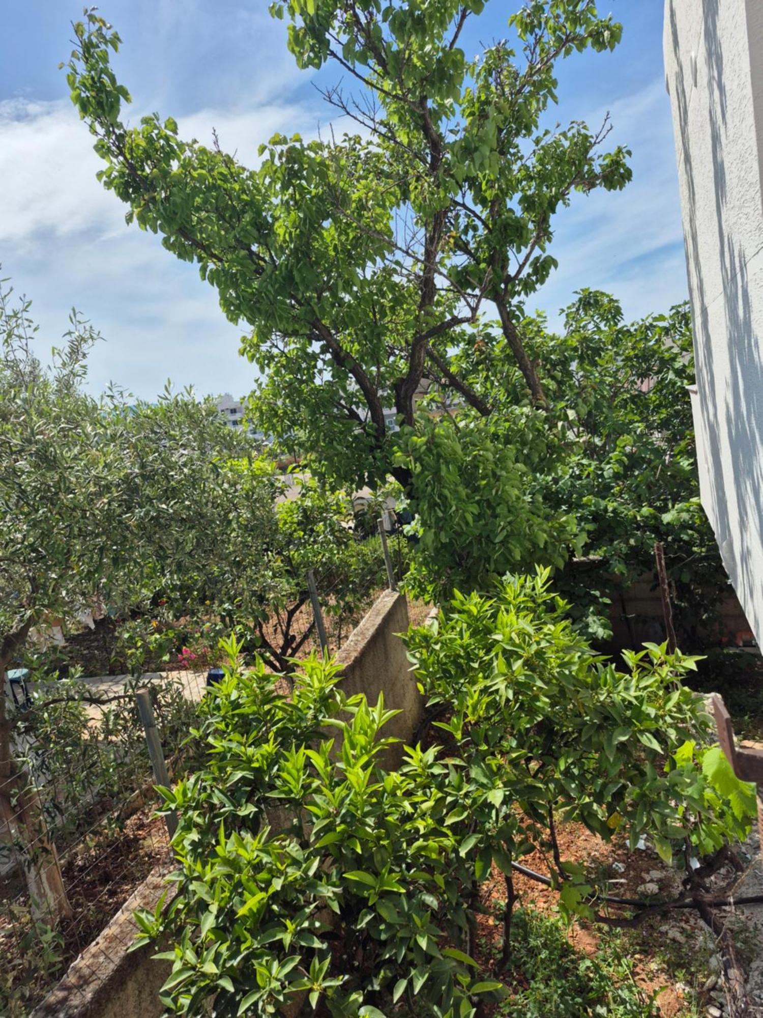 Vita Apartment - Spacious Garden And Balcony 5 Min To Beach & Center Ksamil Luaran gambar